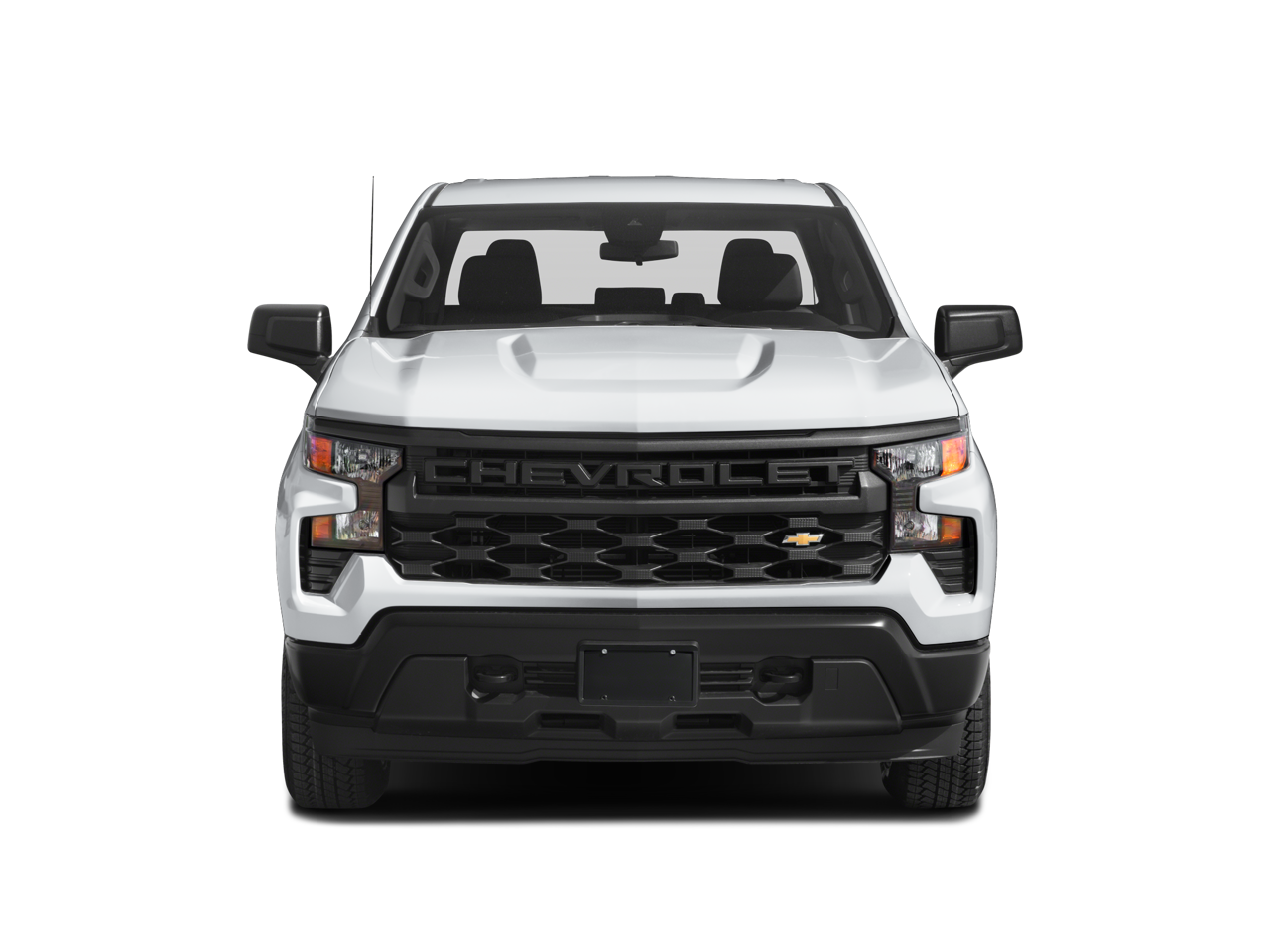 2023 Chevrolet Silverado 1500 LT Trail Boss photo 4